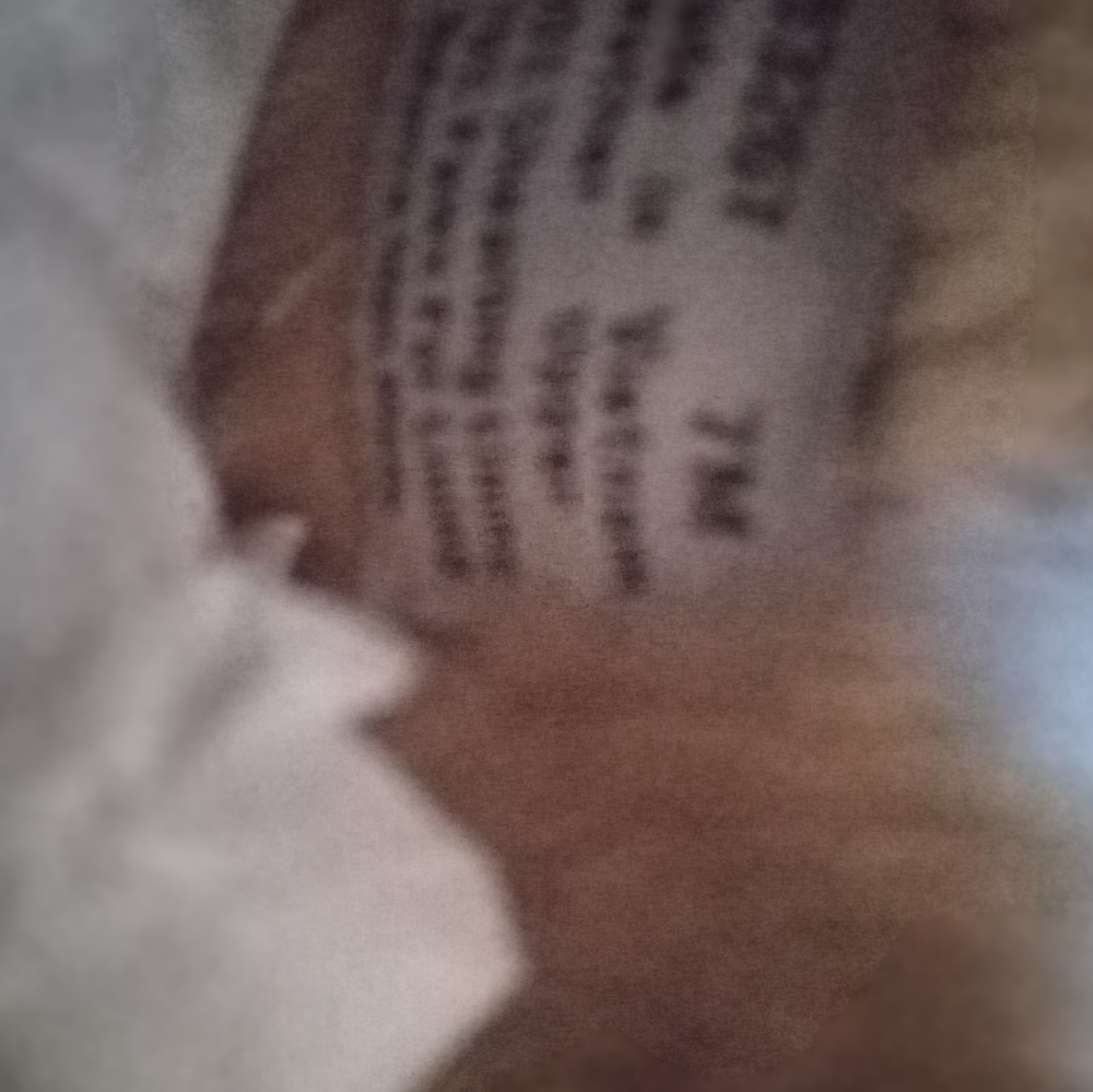Clarks boot